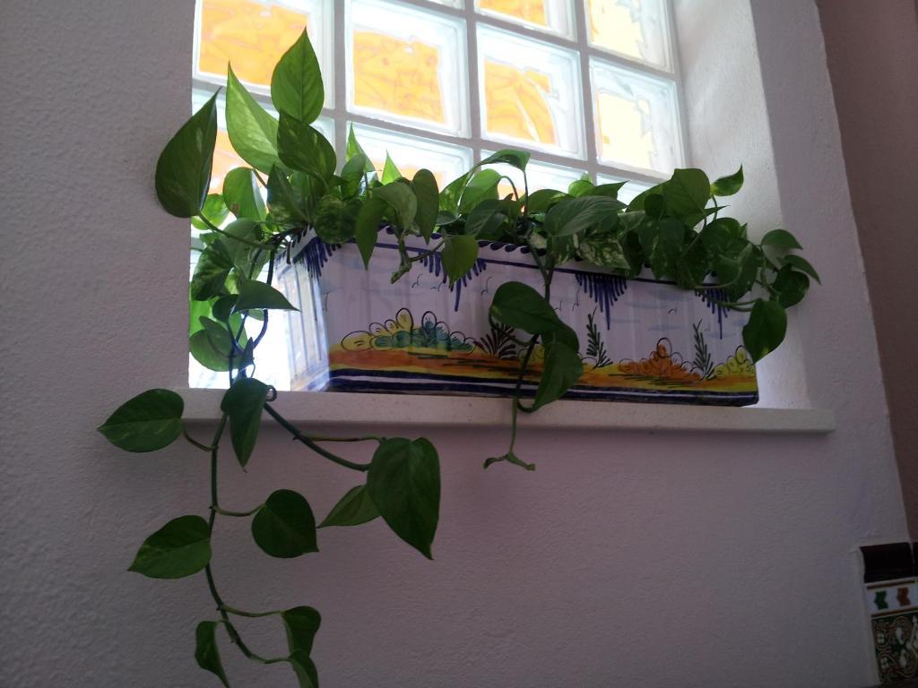 Hostal Tarik Hotel Tarifa Buitenkant foto